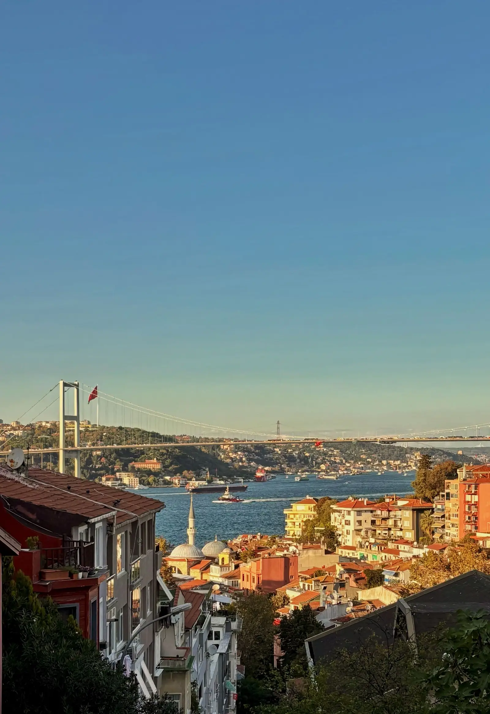 Bosphorus neighborhood rooftops and suspension bridge
